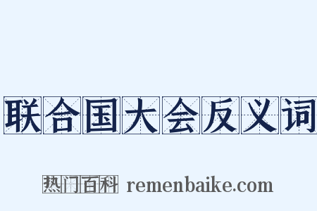 联合国大会反义词是什么意思的图片